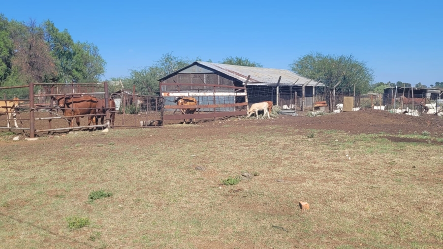 3 Bedroom Property for Sale in Bloemspruit Free State